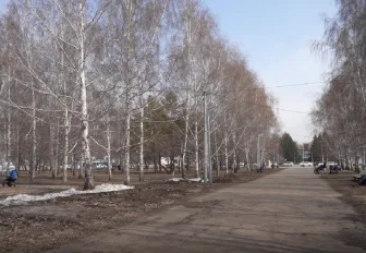 Благоустройство аллеи 110-й годовщины Новосибирска завершат к концу лета