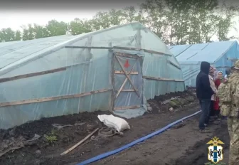 19 иностранцев нелегально работали овощеводами в Новосибирской области