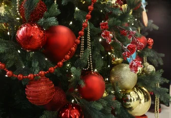 Как утилизировать новогоднюю ёлку