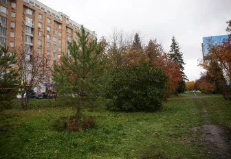 Зелёное голосование: Октябрьский район