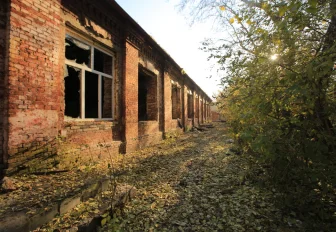 В Новосибирске восстановят единственную конюшню старого военного городка