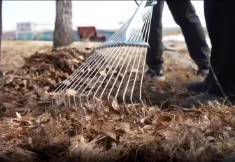 Фестиваль «Эколайк»: как музыка, пироги и уборка объединяют жителей ОбьГЭС