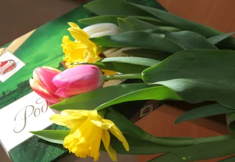 Семь улиц 8 Марта насчитали в Новосибирской области