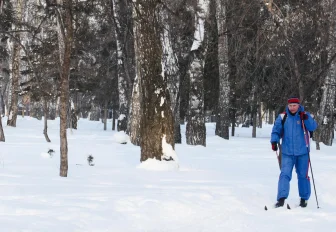 Лыжную трассу открыли в новосибирском парке «Бугринская роща»