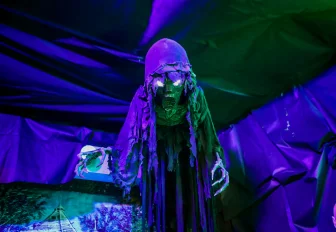 15 лучших фоторепортажей «Новосибирских новостей» за 2025 год