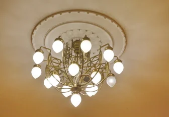 Отключить свет и присоединиться к «Часу Земли» предложили новосибирцам