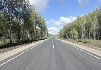 Новый асфальт уложили на дороге к лагерю «Берёзка» под Новосибирском