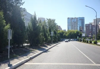 20 шестиметровых елей высадили в центре Новосибирска