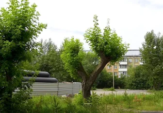 Город без окраин: сквер со скрипичным ключом откроют на Лазарева
