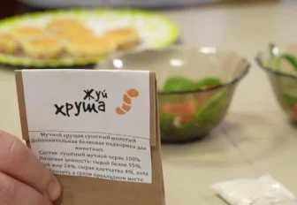 «Жуй хруща!»: личинки жука превращают в полезные продукты