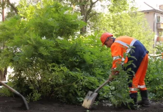 235 дворов благоустроят в Новосибирске по итогам сезона