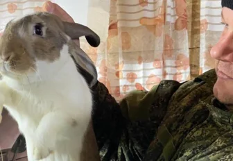 64 новосибирских ветерана СВО завели свой бизнес благодаря господдержке