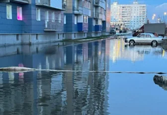 Спасатели осушили «озеро» возле дома на Чистой слободе