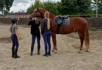 Мэр Кудрявцев: новый конный манеж достроят в Новосибирске в начале осени