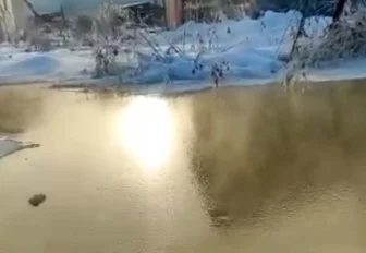 Причину загрязнения реки Нарниста в Дзержинском районе выяснит минприроды