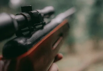 Больше 400 животных отстрелят из-за трихинеллёза в Новосибирской области