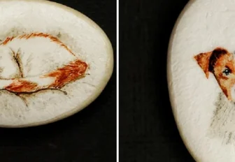 Новосибирец сделал рисунки акварелью на тыквенных семечках: фото