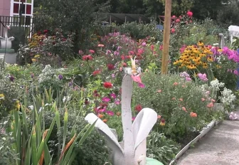 Выбираем лучшую клумбу Новосибирска: Дальневосточная, 10