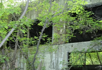 Заброшенные здания стали чаще гореть в Новосибирске
