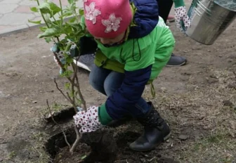 Мэр Кудрявцев поблагодарил новосибирцев за инициативы по озеленению