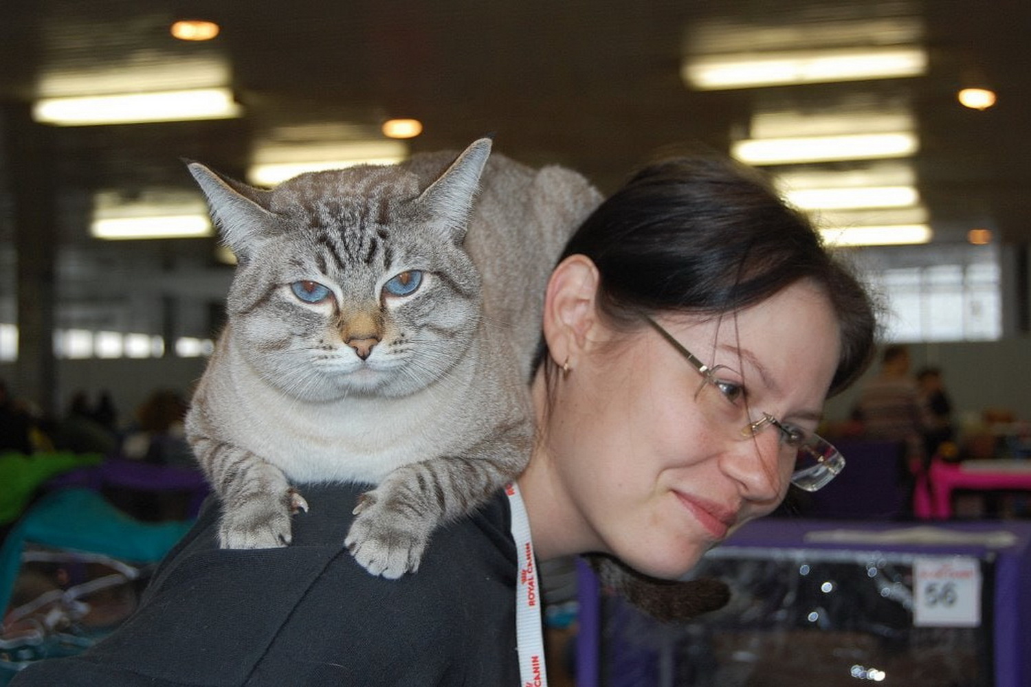 Локе на выставке (впервые в титуле чемпиона мира)