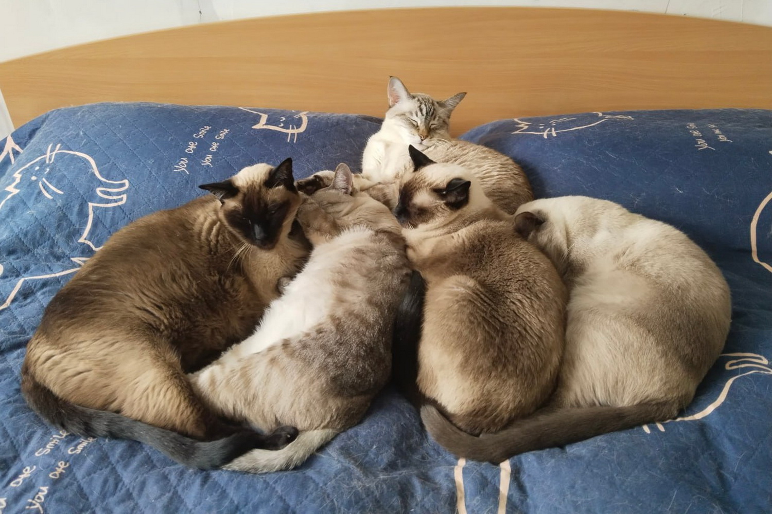 Локе вверху, внизу (слева направо) сын Аркей, внучка Яжира, Далия, внук Каджит