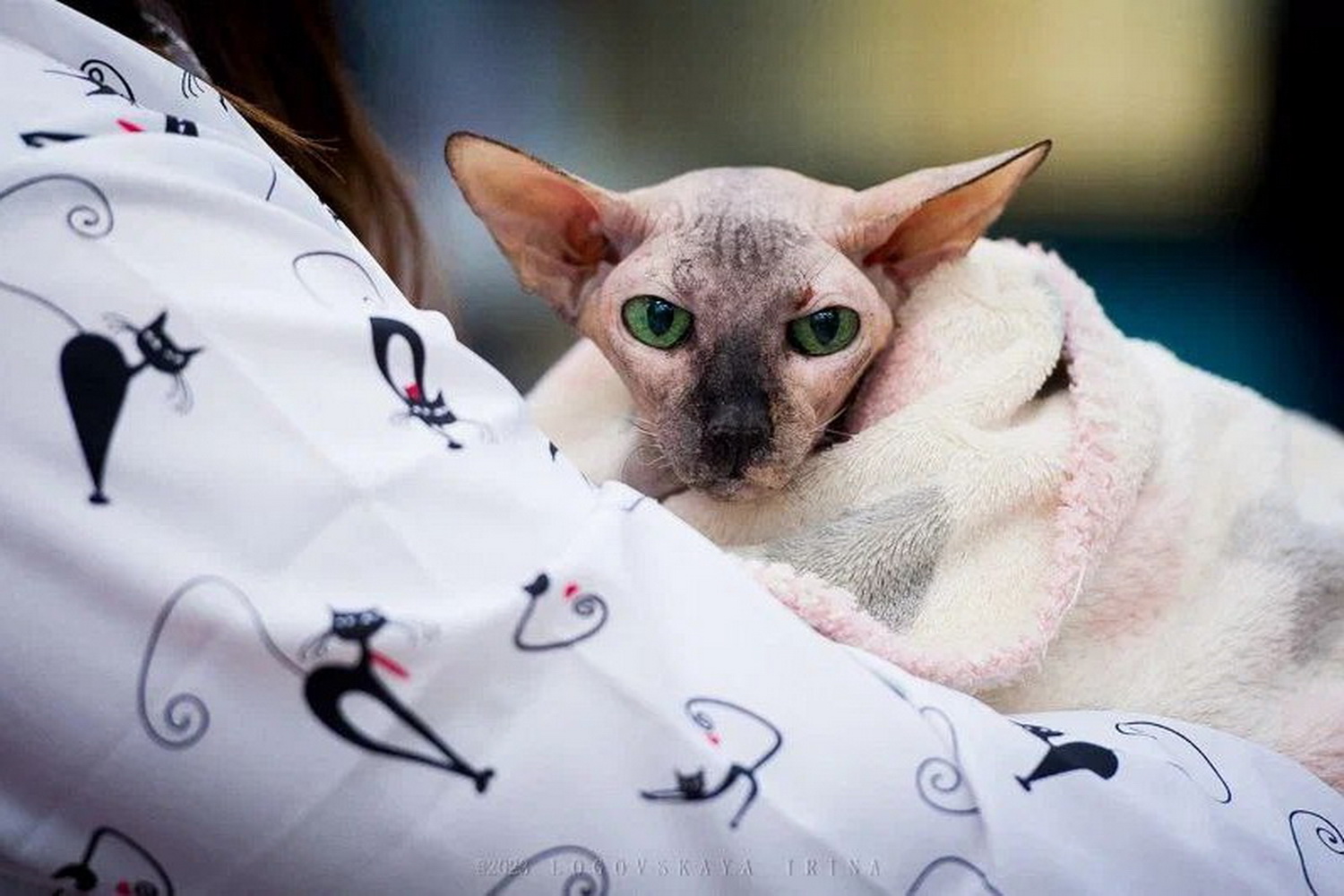 Петерболд Мила