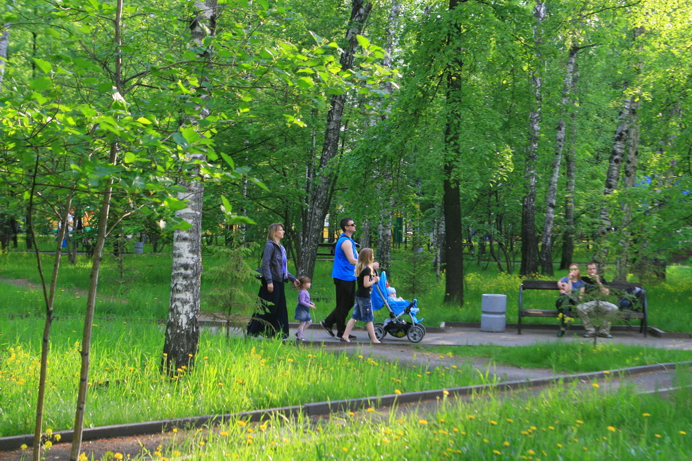 Парки города новосибирск