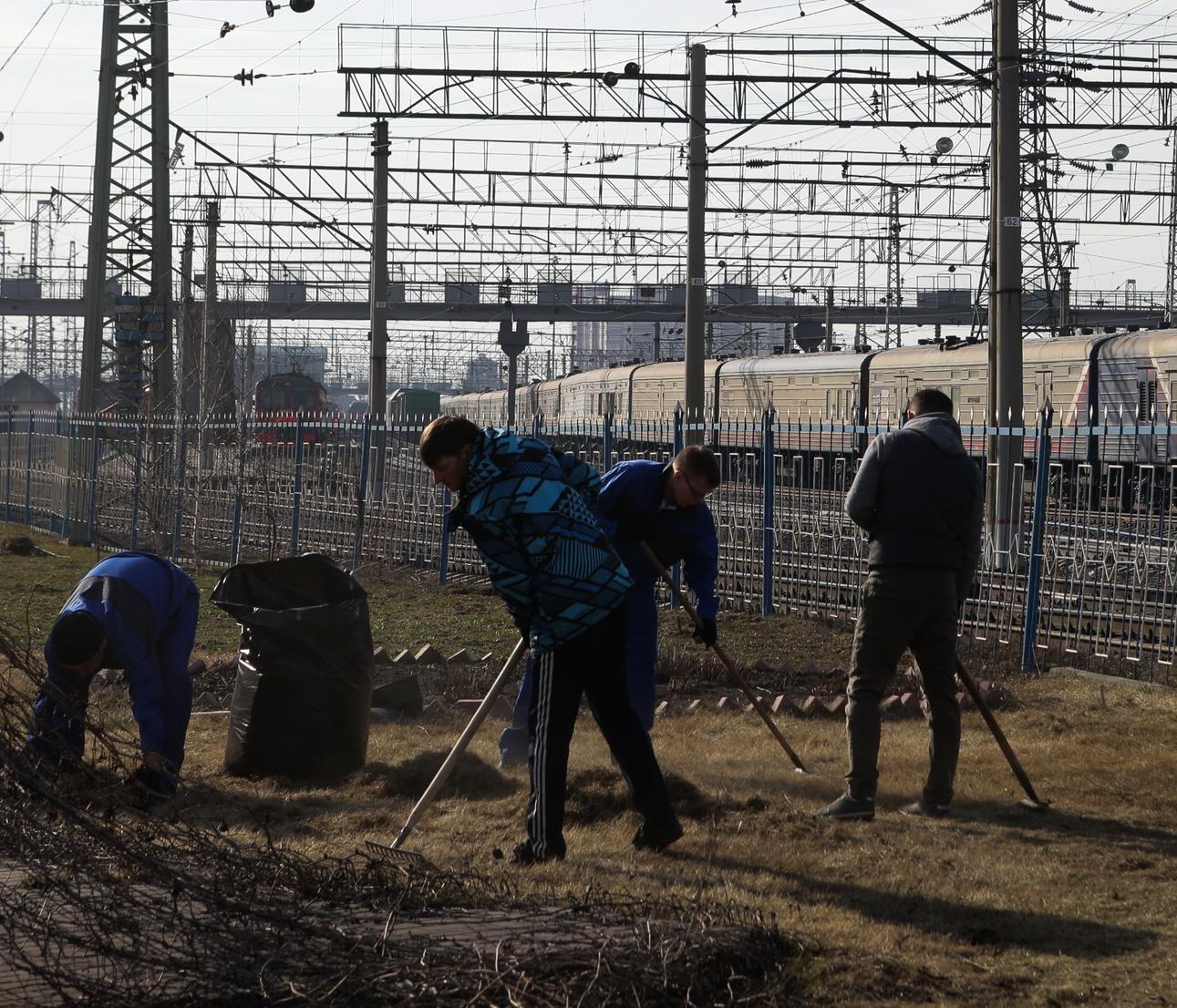 Как принять участие в общегородском субботнике — горячий телефон