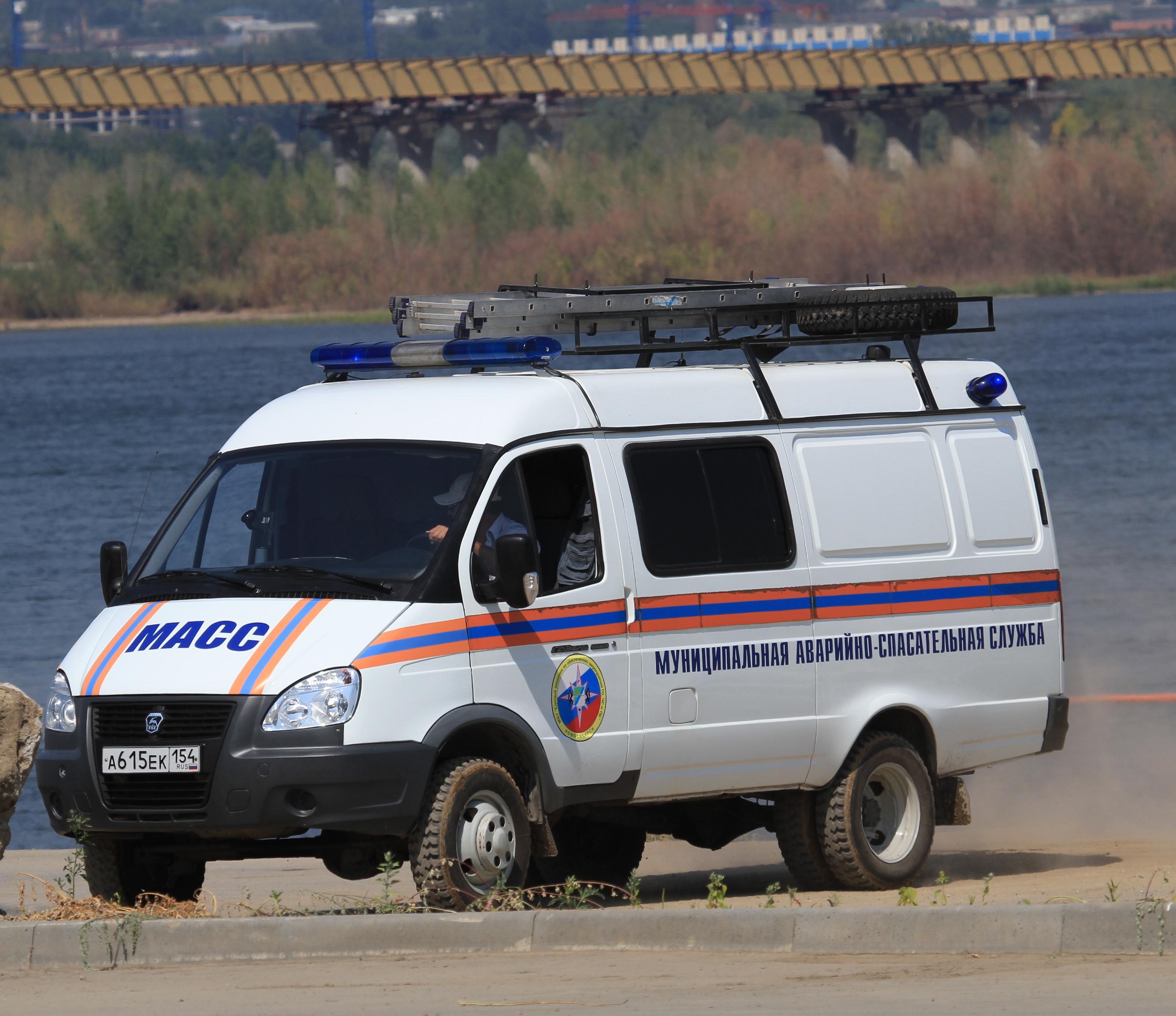 Собаку достали из ямы спасатели в Новосибирске