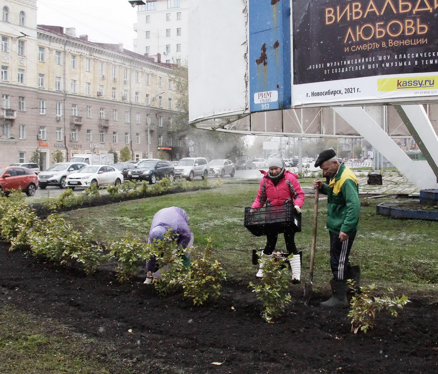 Восемь тысяч ярко-гранатовых тюльпанов высадили на площади Кондратюка