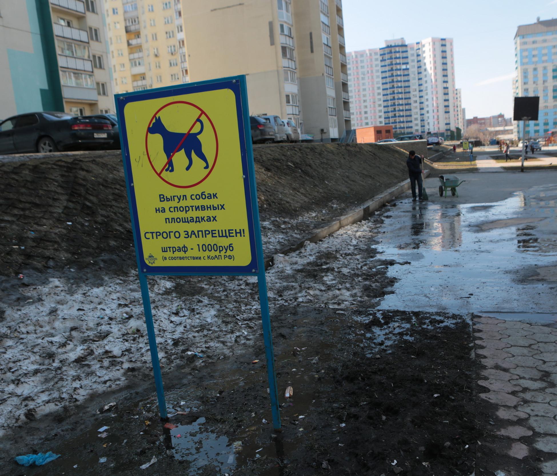 Где выгуливать домашних животных в Новосибирске