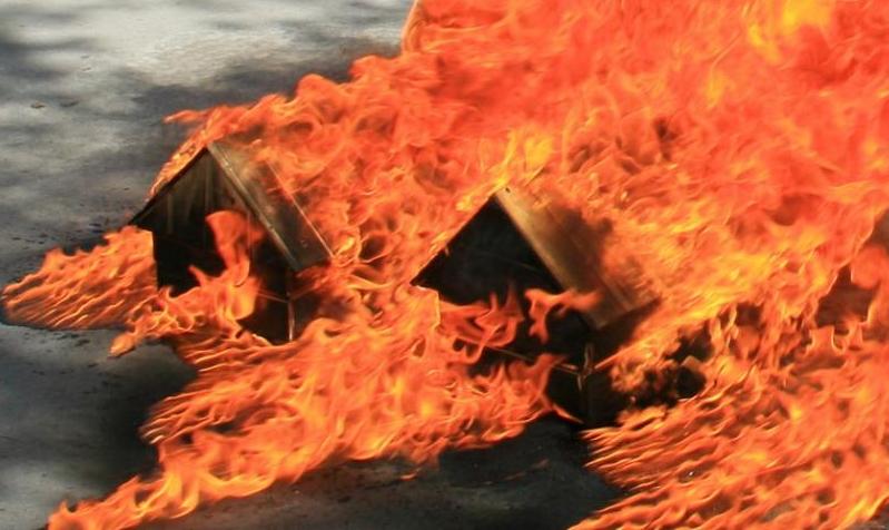 В Новосибирской области за прошлые сутки горели автомобиль и частные дома