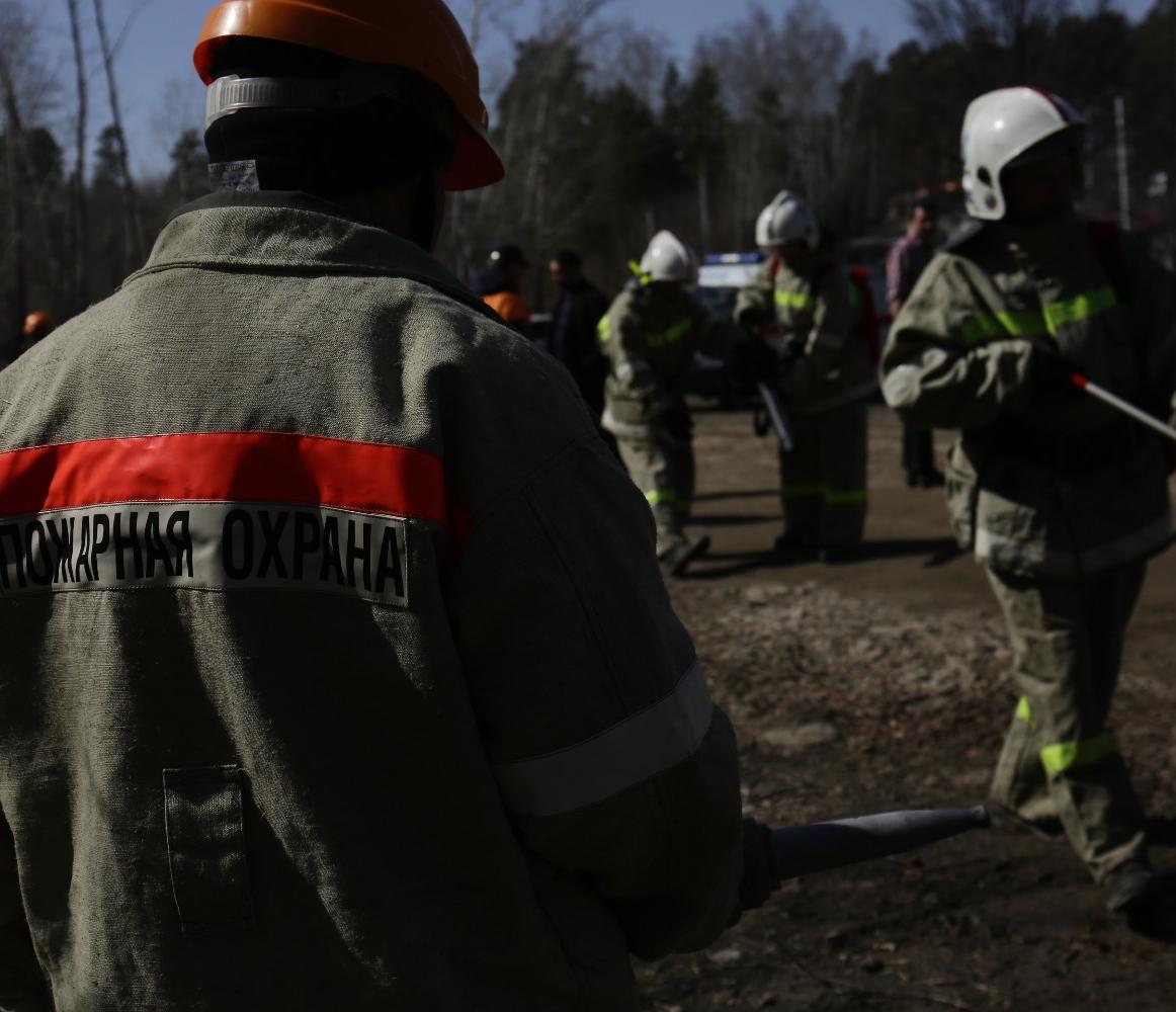 Самые неблагоприятные по палам травы районы назвали в Новосибирске