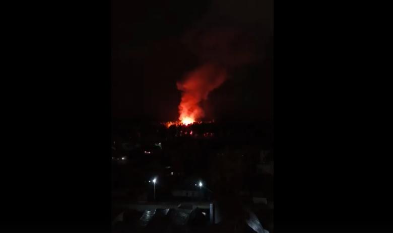 Верблюда, дикобразов и оленей спасли из пожара в Новосибирском зоопарке