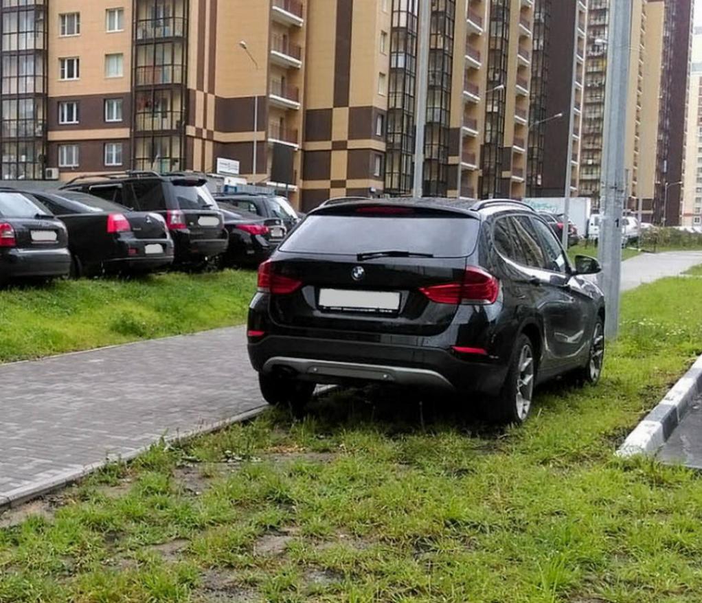 За парковку на газонах теперь смогут штрафовать не только полицейские