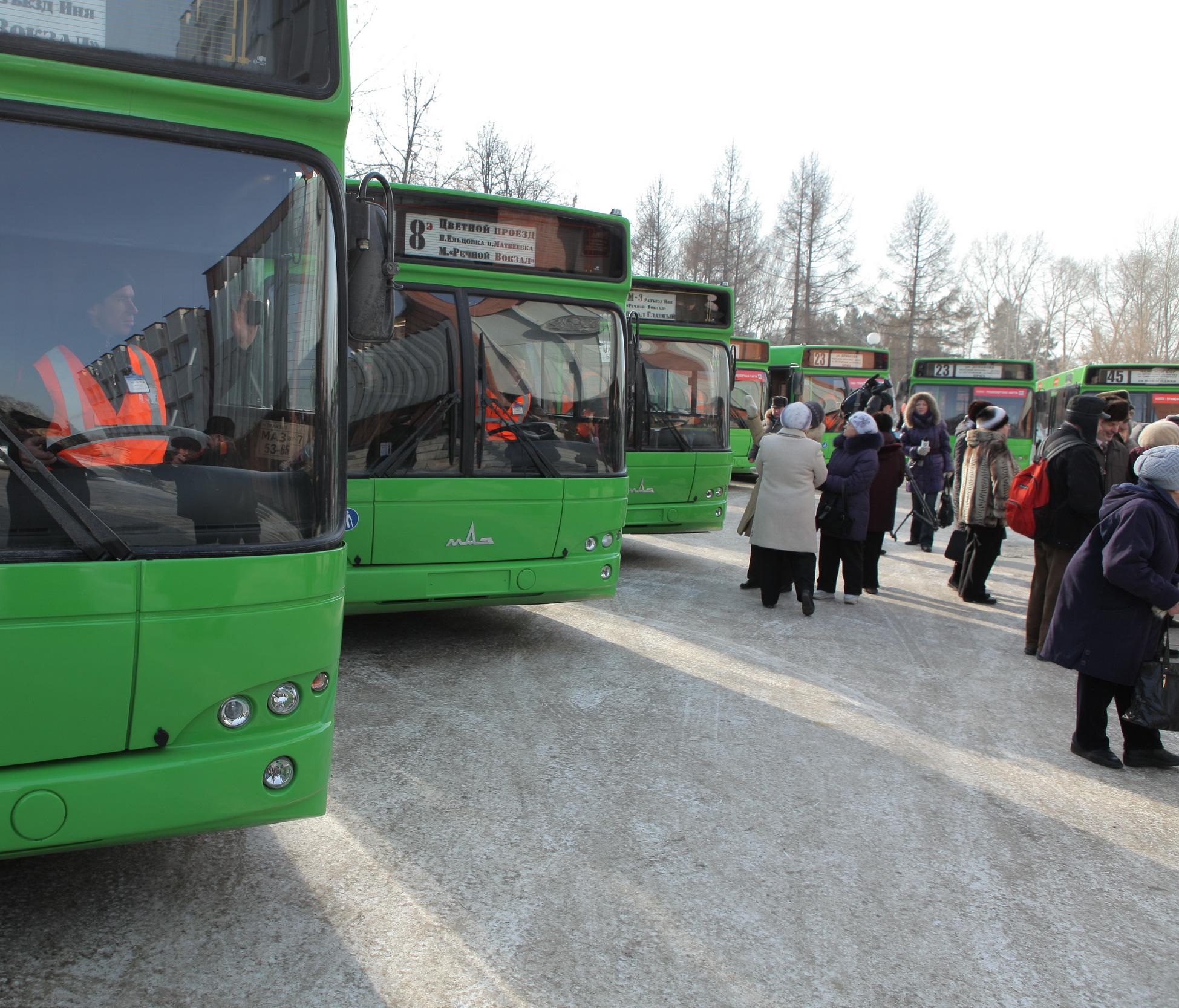 Инспекторы ГИБДД устроили тотальную проверку автобусов в Новосибирске