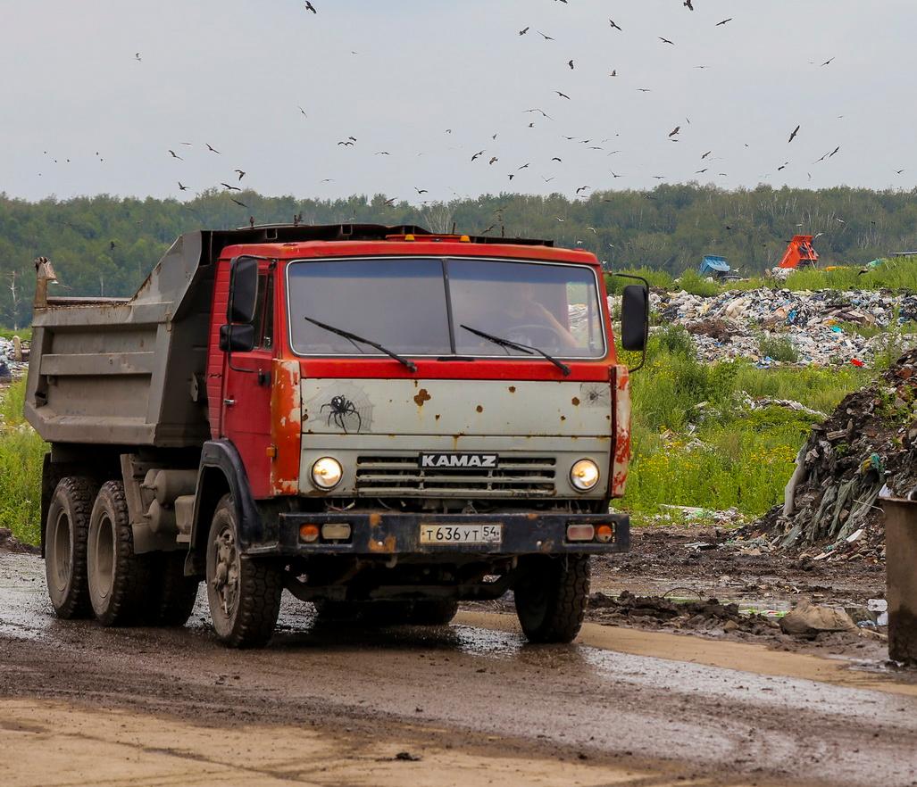 Новосибирск стал лидером в России по росту тарифа на вывоз мусора