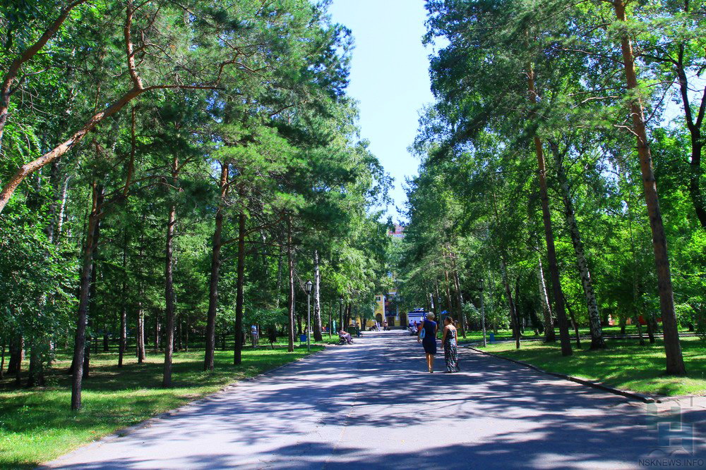 Где находится парк в новосибирске. Скверы Новосибирска. Парк Горького Новосибирск. Зеленый парк Новосибирск. Первомайский сквер парк Новосибирск осенью.