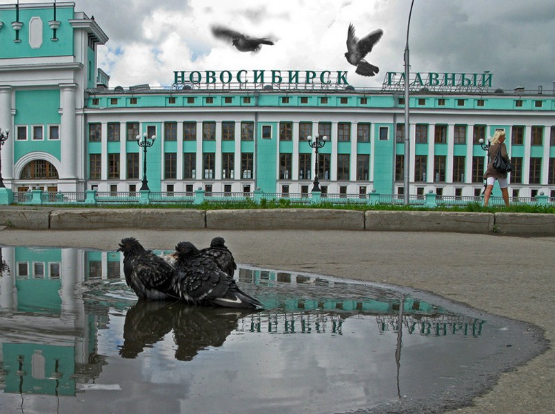 Живое Фото Новосибирск