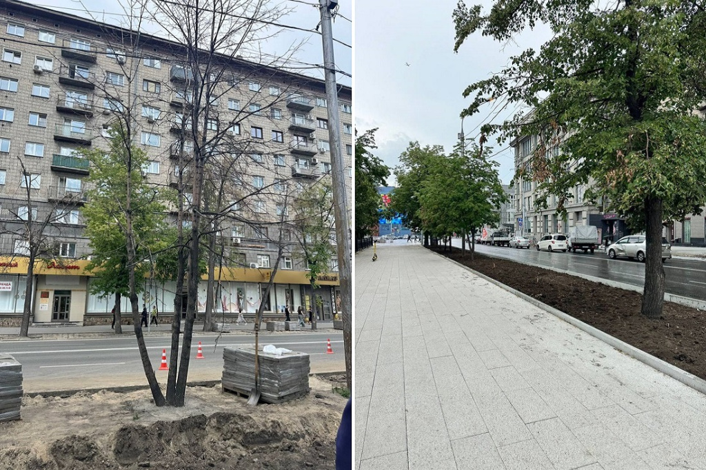 липы 1.jpg