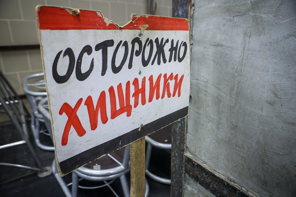 NET_6810.jpg