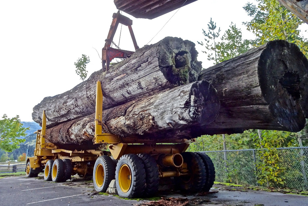 lumber-1713722_1920.jpg