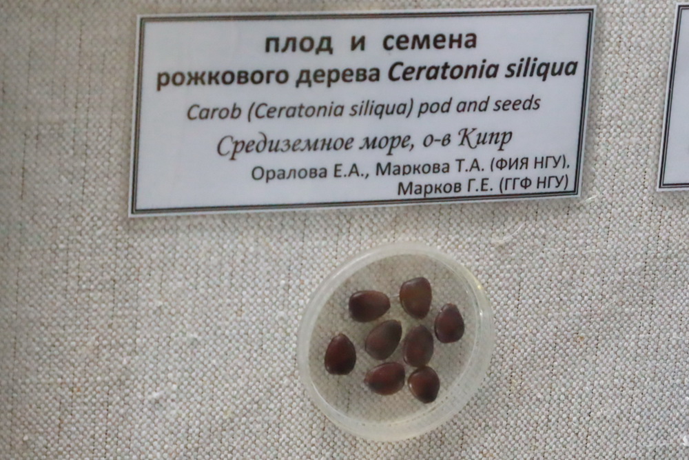 KOM_3098.JPG