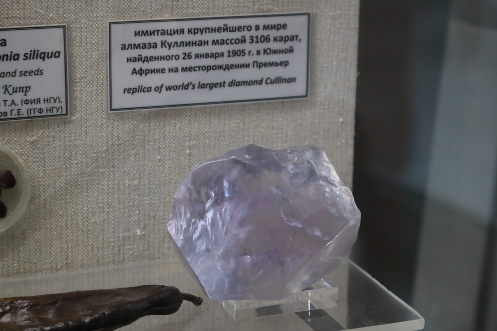 KOM_3102.JPG