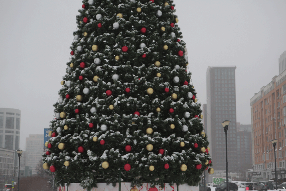 IMG_7421.gif
