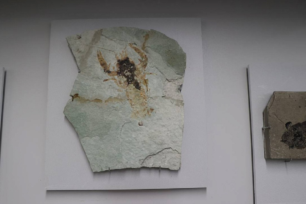 photo_2025-10-28_11-37-43 (3).jpg