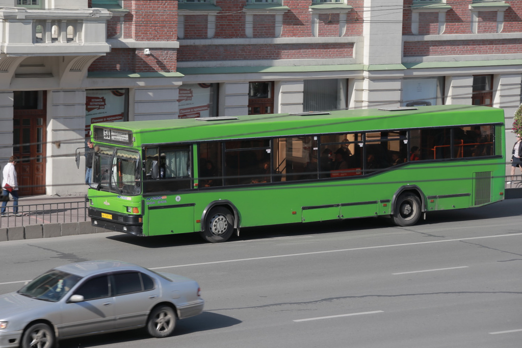 IMG_5256.jpg