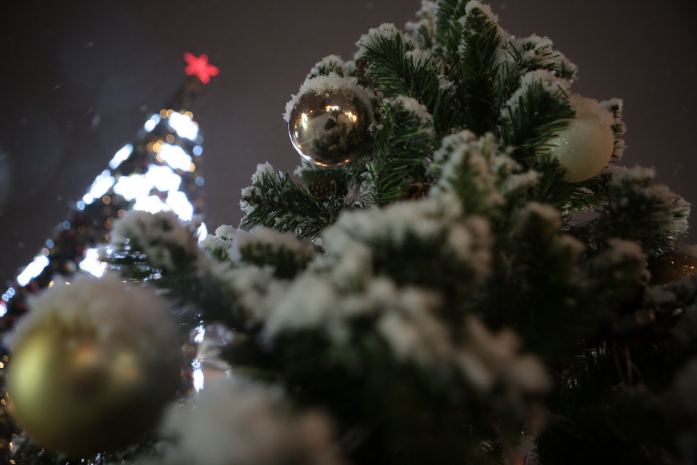 IMG_9265.JPG