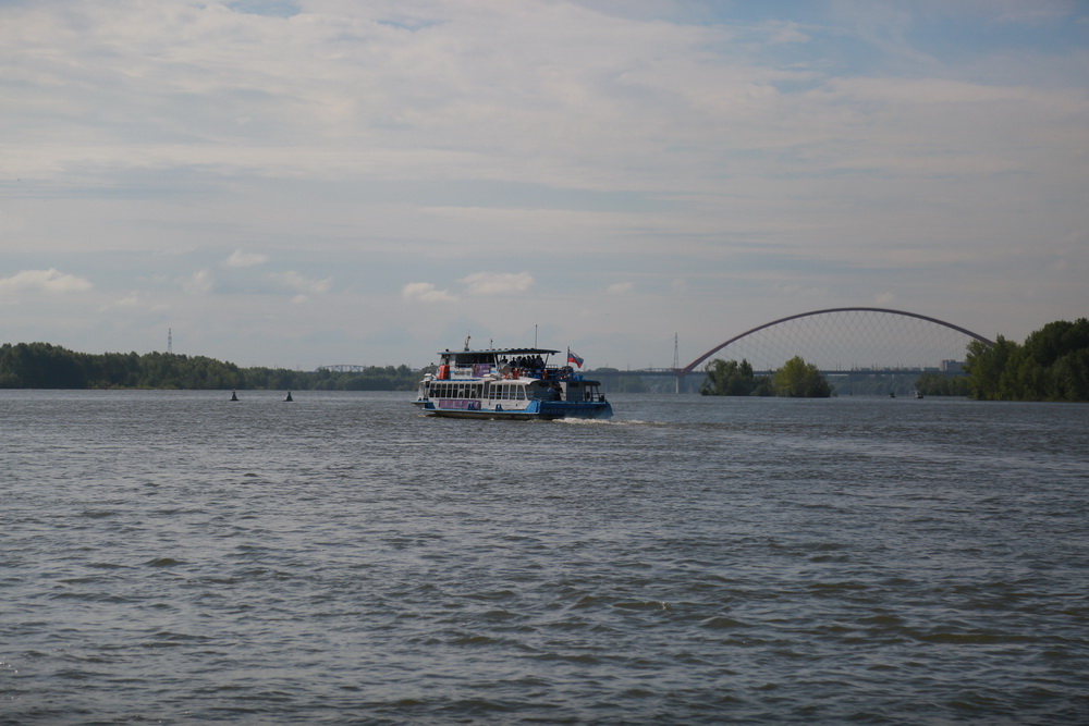 KOMP6229.JPG